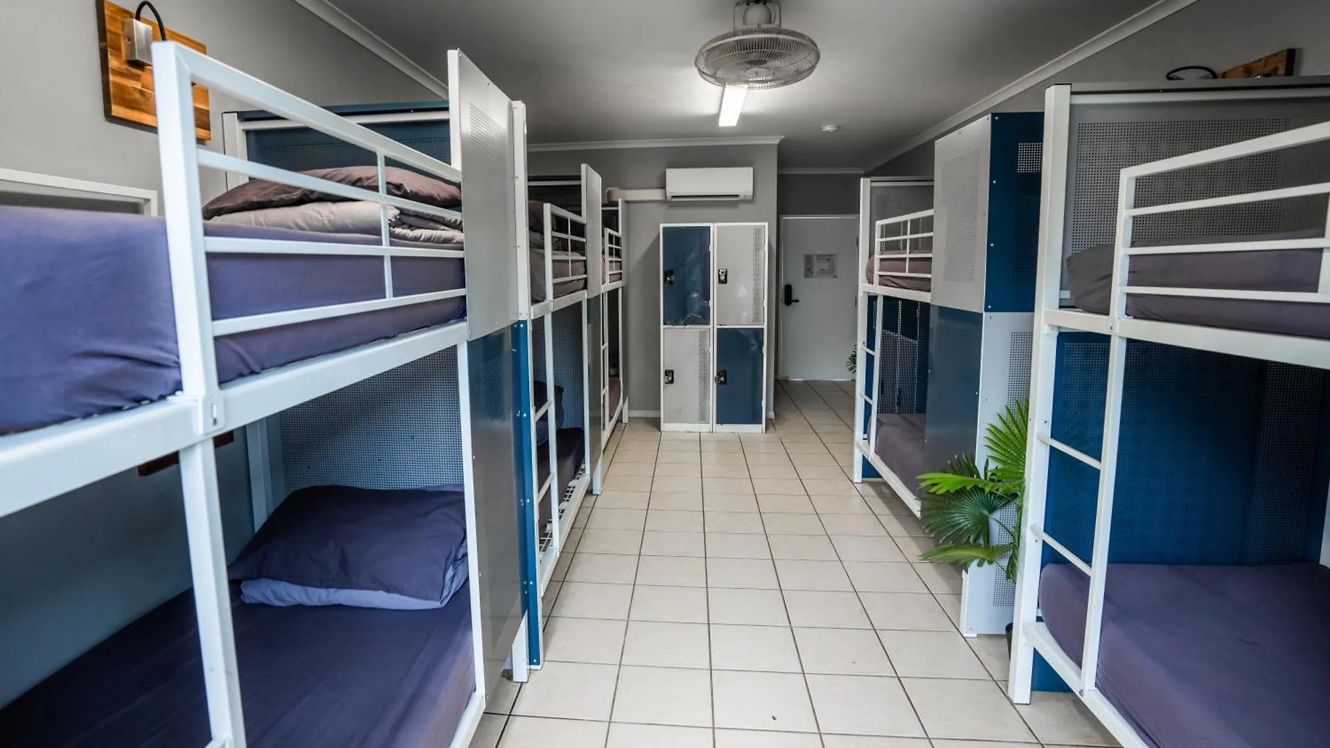 Mad Monkey Jungle Hostel Cairns Australia